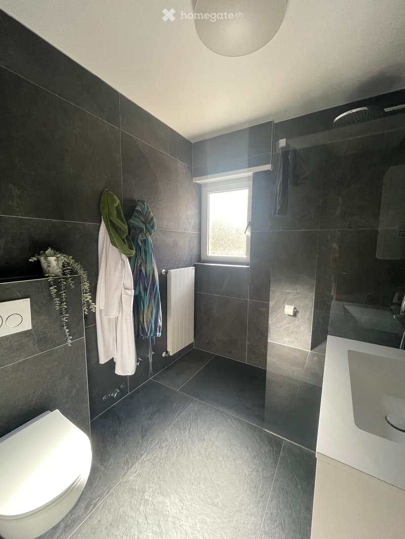 Modern bathroom with dark grey tiles, a toilet, a shower area with glass enclosure, a radiator, towels, and a small plant on the windowsill.
