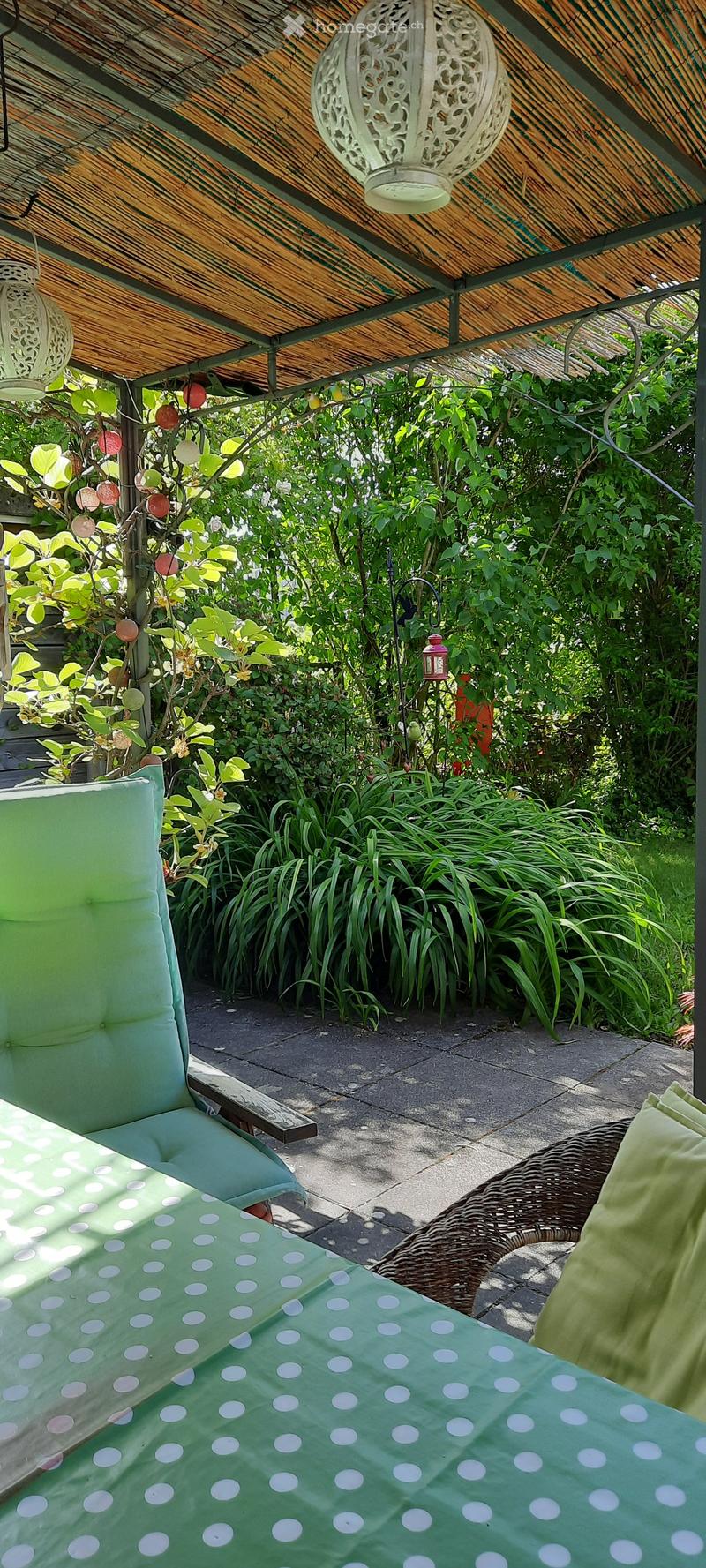 A lush garden area with a covered seating space, featuring a green table with a polka dot tablecloth, green chairs, and a wicker chair, surrounded by various plants and trees.