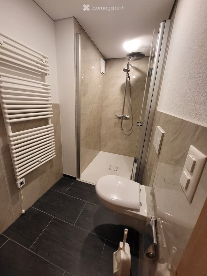 Modern bathroom with a toilet, shower, radiator, and light switch. Dark tiled floor and light-colored walls.