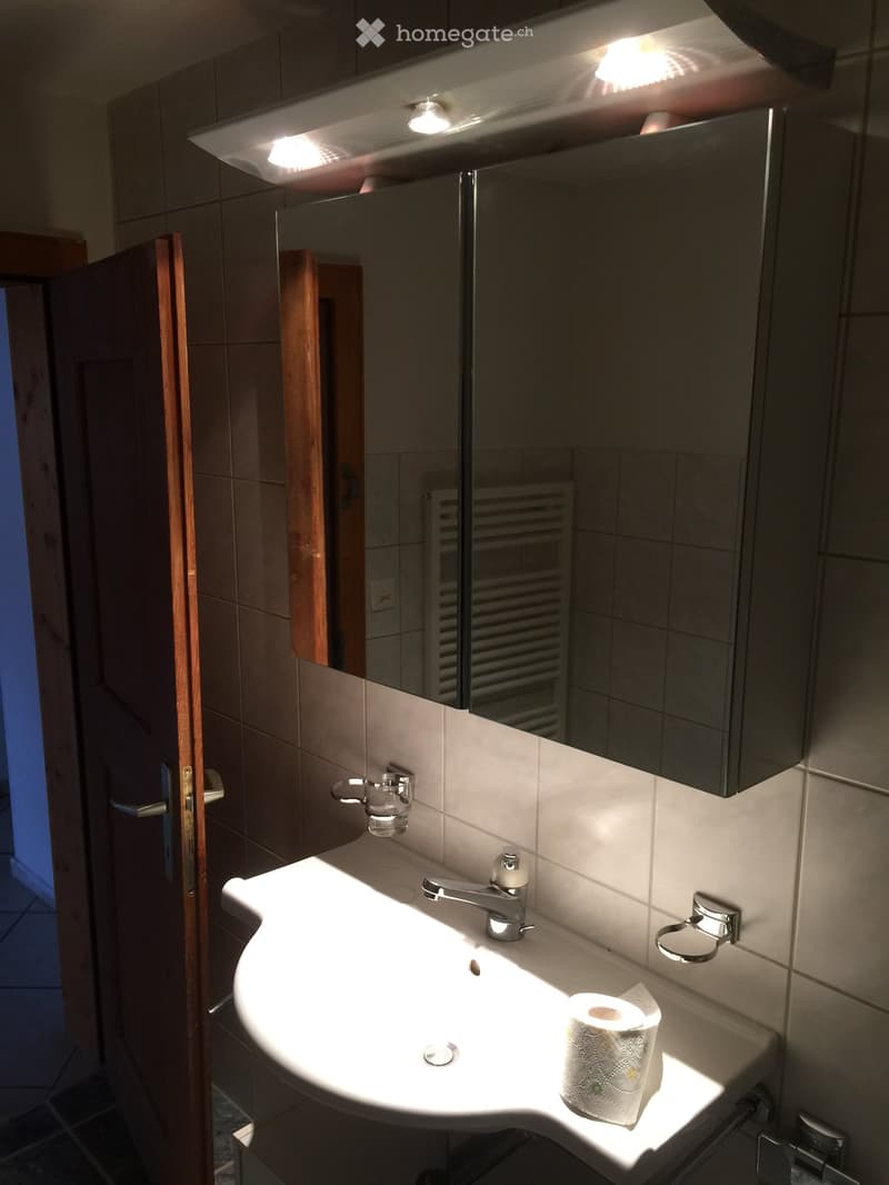 Modern bathroom with a white sink, chrome faucet, mirror cabinet, and a roll of toilet paper on the counter.