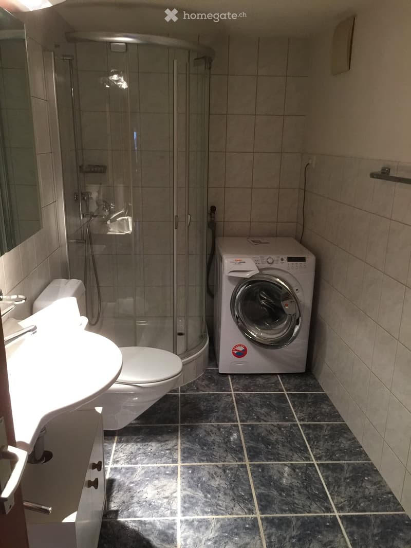 Modern bathroom with a toilet, sink, glass-enclosed shower, and a washing machine. The floor is tiled with dark marble tiles.