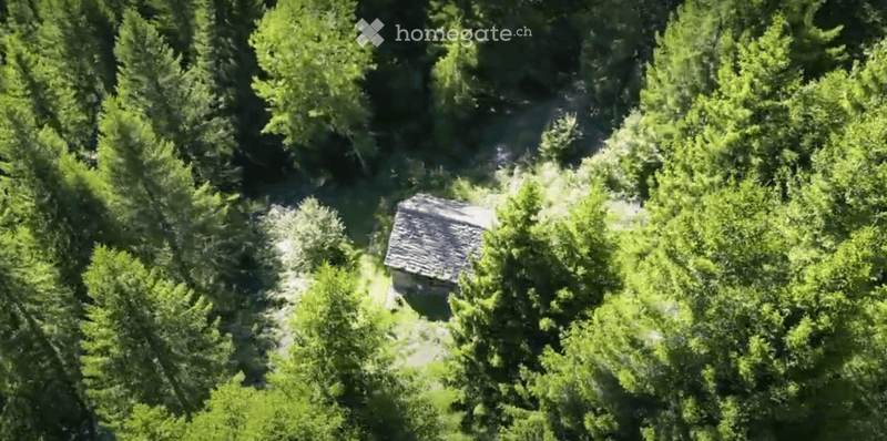 A small, rustic wooden cabin nestled in a dense forest, surrounded by tall trees and greenery.