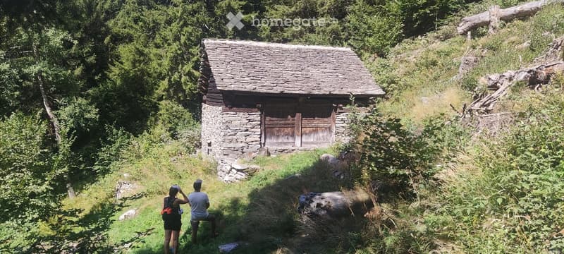 A rustic stone building with a wooden door and a sloped roof, situated in a lush, green forested area. Two people are standing nearby, observing the structure.