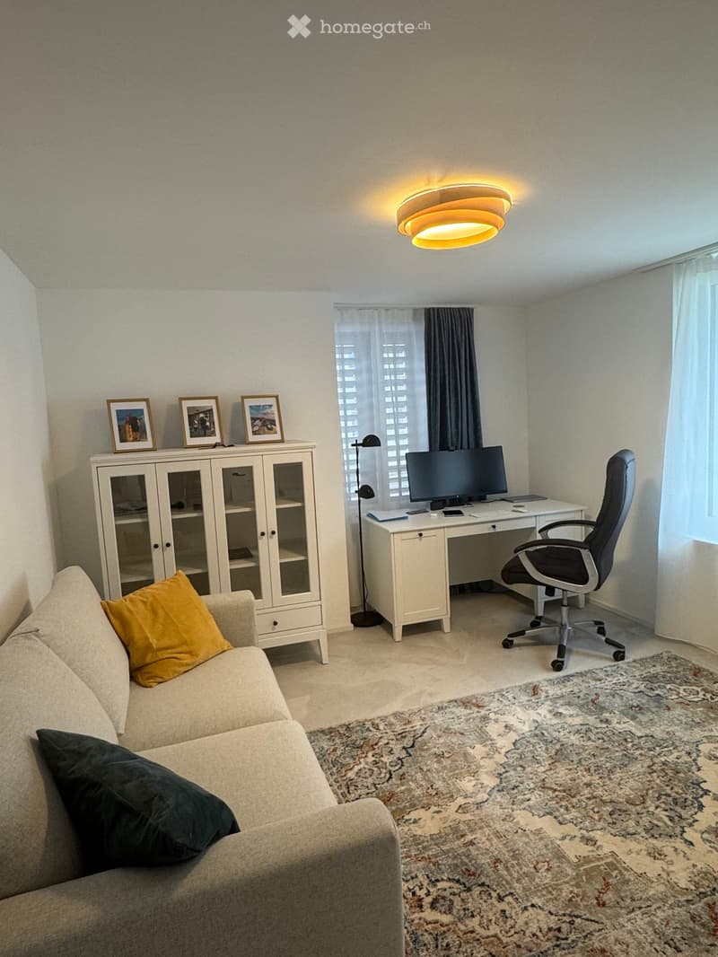 A living room with a couch, a desk, a chair, a cabinet, and a monitor