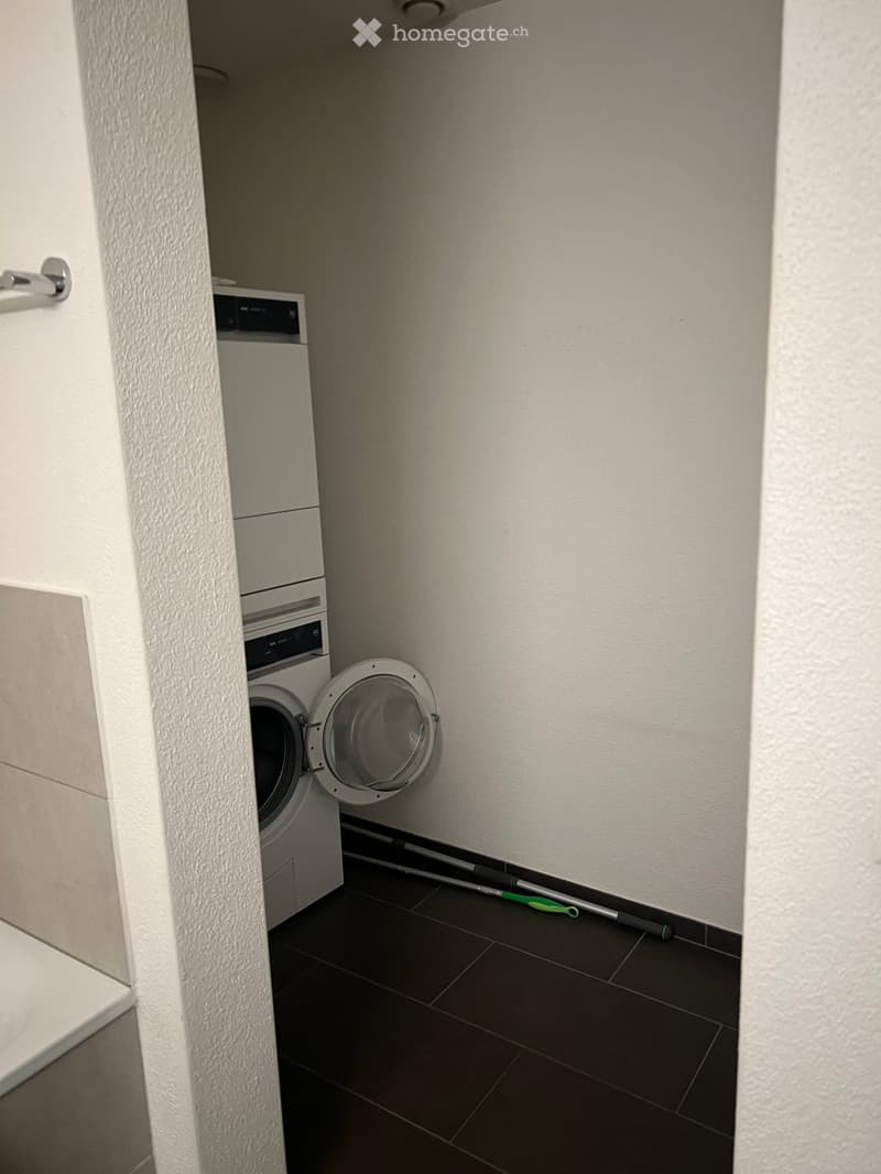 A small, modern laundry room with a washing machine and a dishwasher, dark tiled floor, and white walls.
