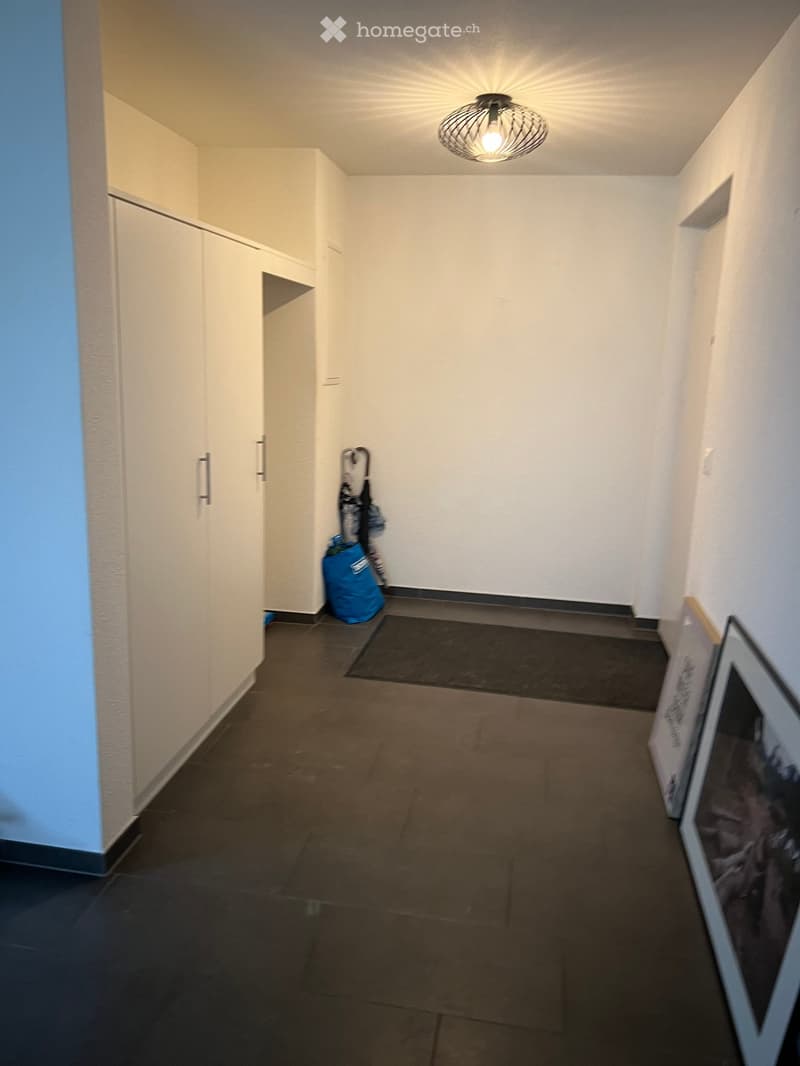 Empty hallway with white walls, dark tiled floor, built-in white cabinets, and a modern pendant light fixture.