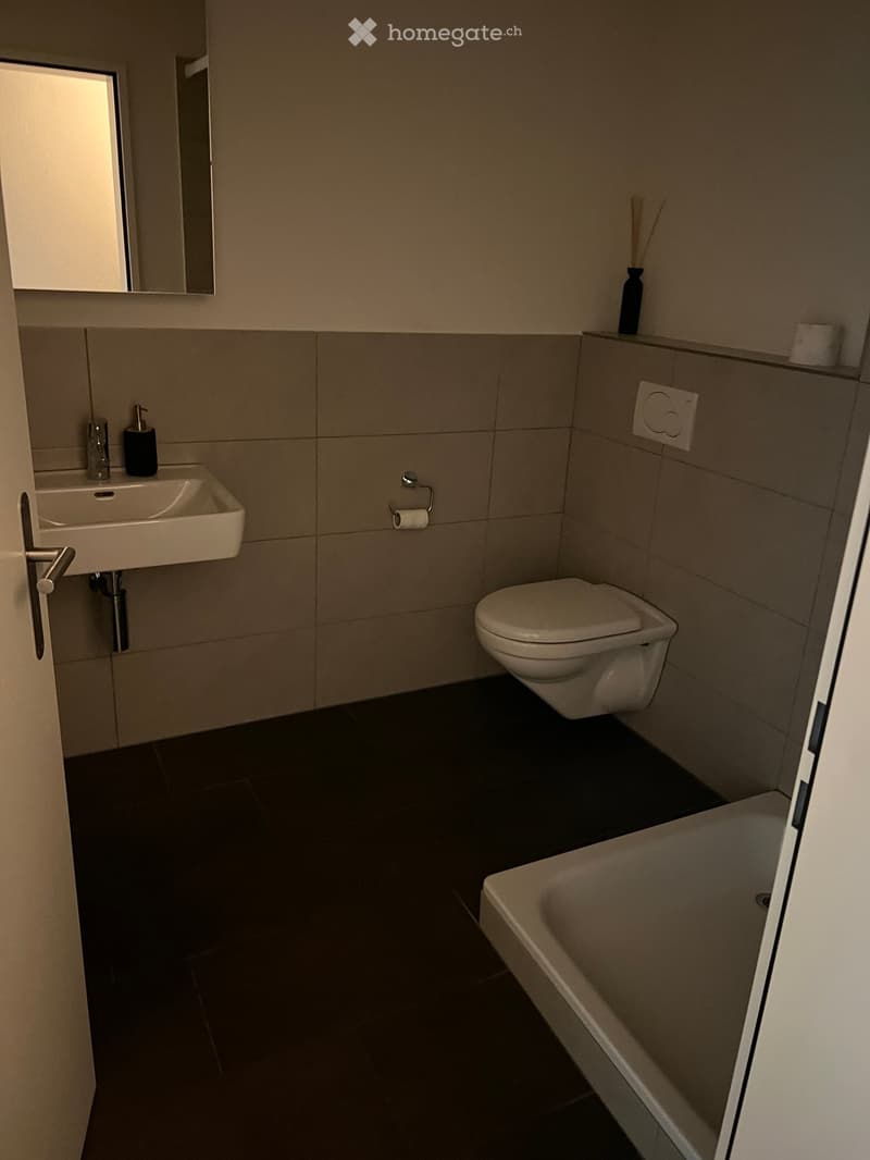 Modern bathroom with a white sink, toilet, bathtub, and mirror. Includes a soap dispenser, toilet paper holder, and a small shelf with a vase.
