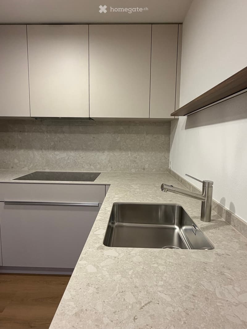 modern kitchen, marble countertop, stainless steel sink, wooden cabinets, electric induction stovetop