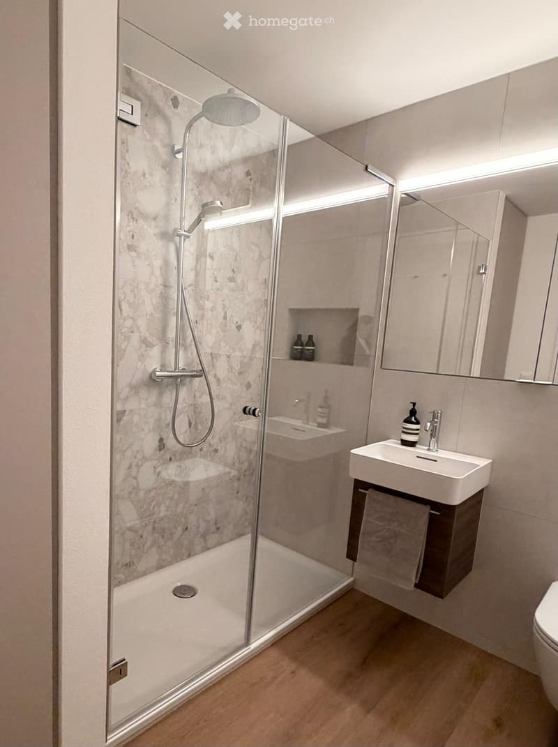 modern shower, white sink, mirror, wooden floor, recessed lighting