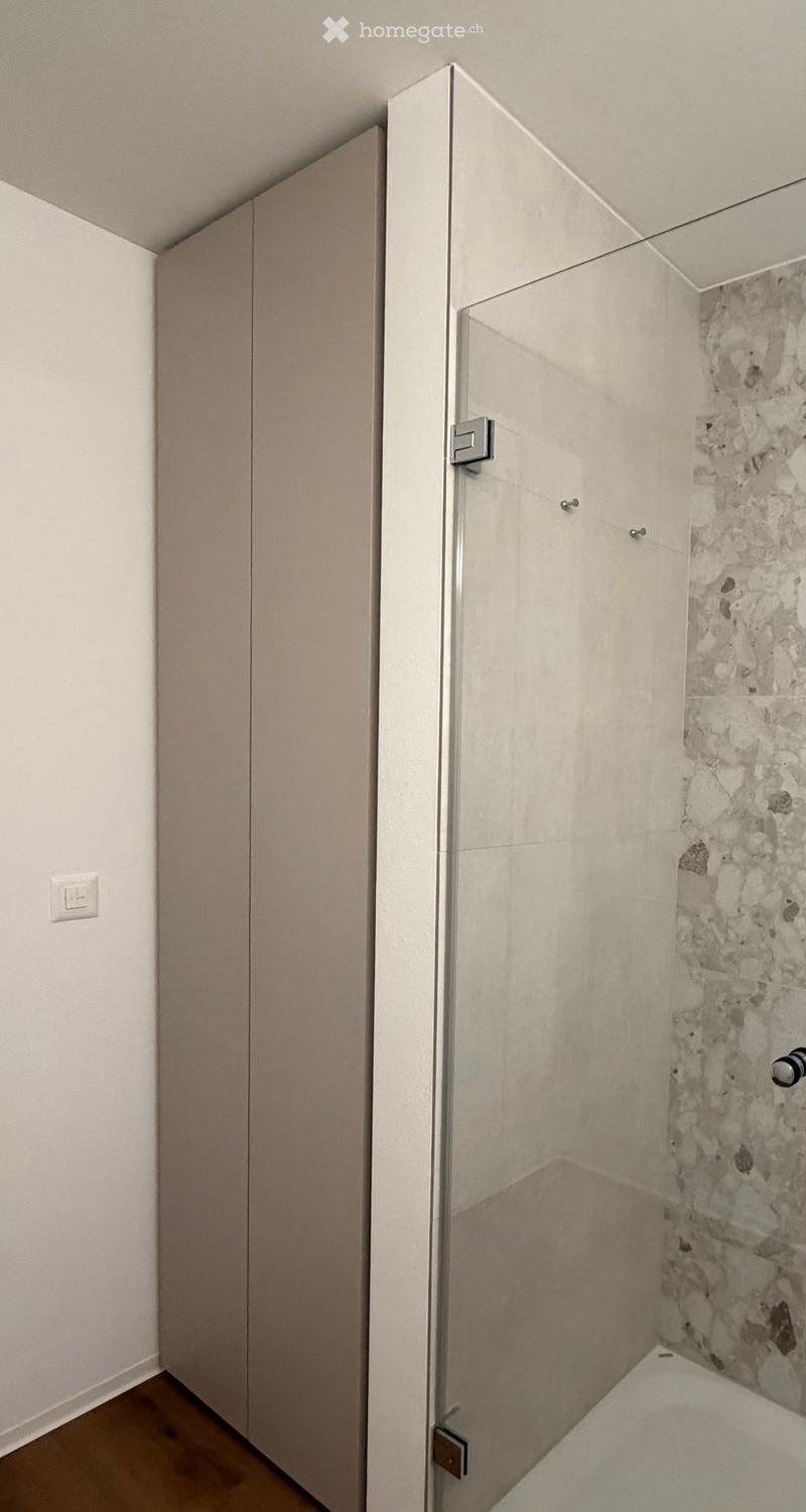 white wall, floor, sliding glass door, glass door, wooden floor, beige closet, bathroom tiles