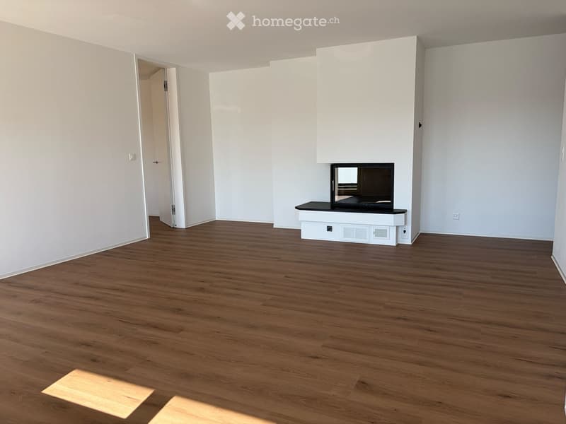 empty room, wood floors, white walls, fireplace with TV