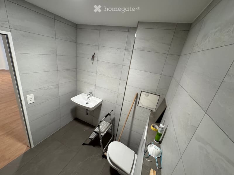 Modern bathroom with grey tiled walls and floor, featuring a white sink, toilet, and mirror. Cleaning supplies and a mask are visible on the floor.