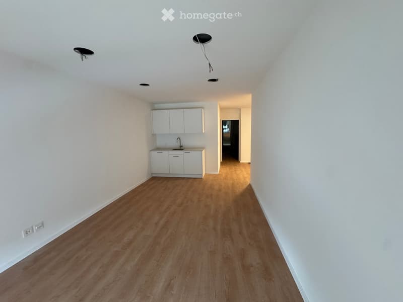 Empty hallway with wooden flooring, white walls, and white cabinetry in the background. No furniture or personal items present.