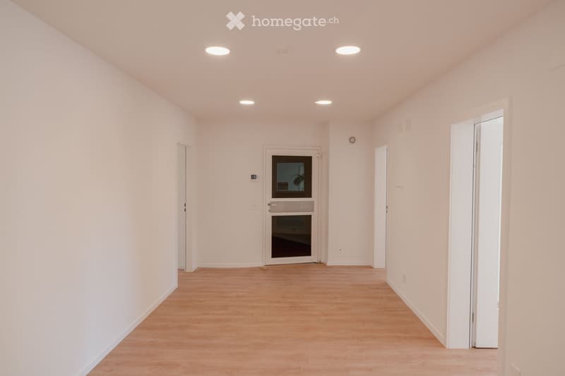 Empty hallway with light-colored walls, wooden flooring, and several doors including a main entrance door with a glass panel.