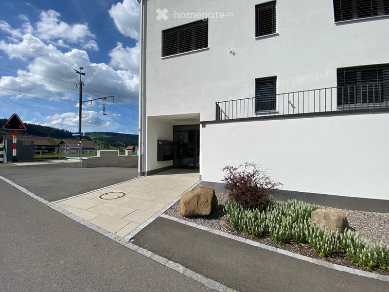 4½-Zimmer-Wohnung in Mehrfamilienhaus (1)