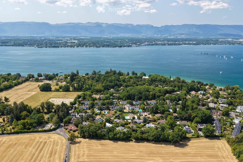 Aerial view of a suburban area near a large lake, with scattered houses, trees, and sailboats on the water.