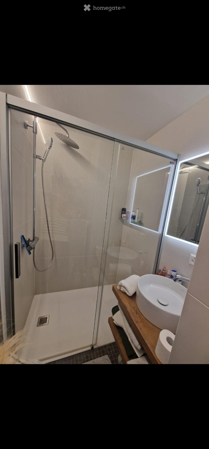 Modern bathroom with a glass-enclosed shower, a sleek sink on a wooden vanity, and a towel placed on the vanity.