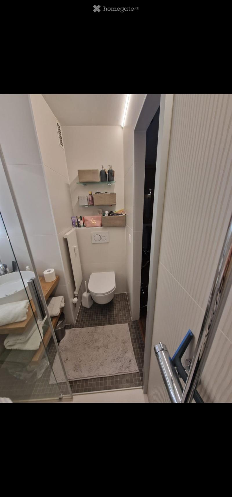 Modern, compact bathroom with white walls, a toilet, a sink with a mirror, shelves for toiletries, and a small rug on the floor.