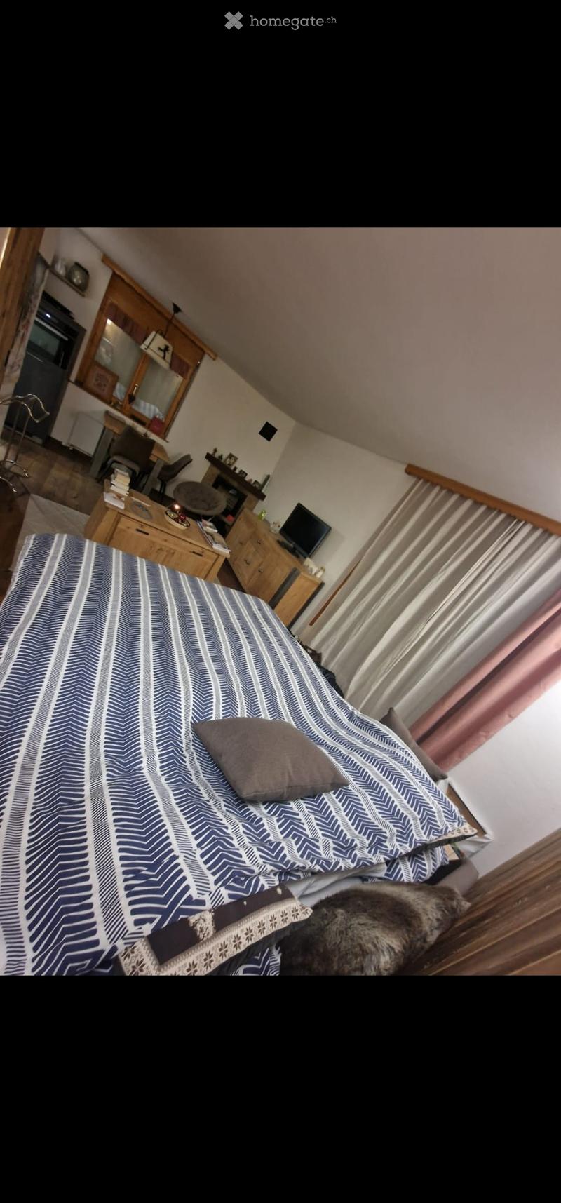 Cozy bedroom with a large bed covered in blue and white patterned bedding, a cat resting on the bed, a nightstand with a lamp, a wooden table with chairs, a mirror, and a television on a wooden stand.