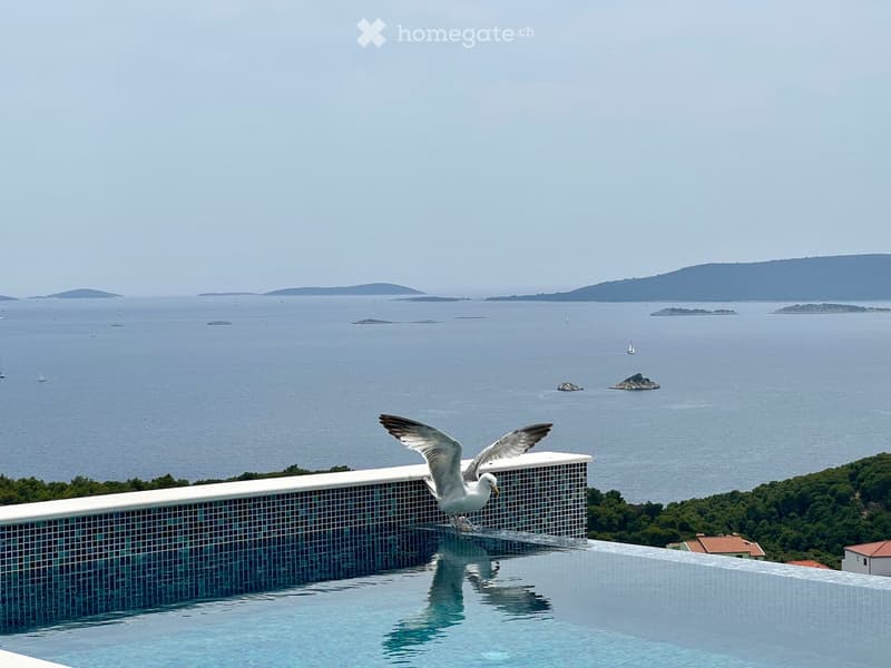 A modern infinity pool with a tiled edge, overlooking a vast sea view with distant islands and sailboats. A seagull is landing on the pool's edge.