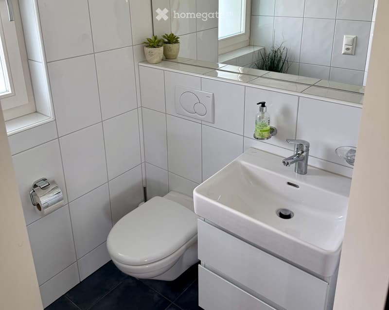 Modern bathroom with white tiles, a toilet, a sink with a chrome faucet, a mirror, a soap dispenser, and two small potted plants on the windowsill.