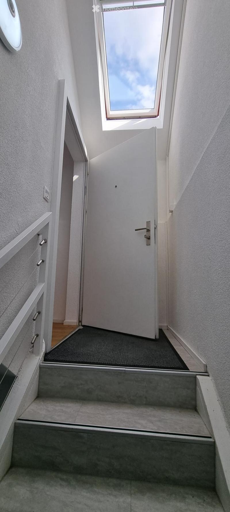 Modern hallway with grey carpeted stairs, white walls, and a skylight window at the top.