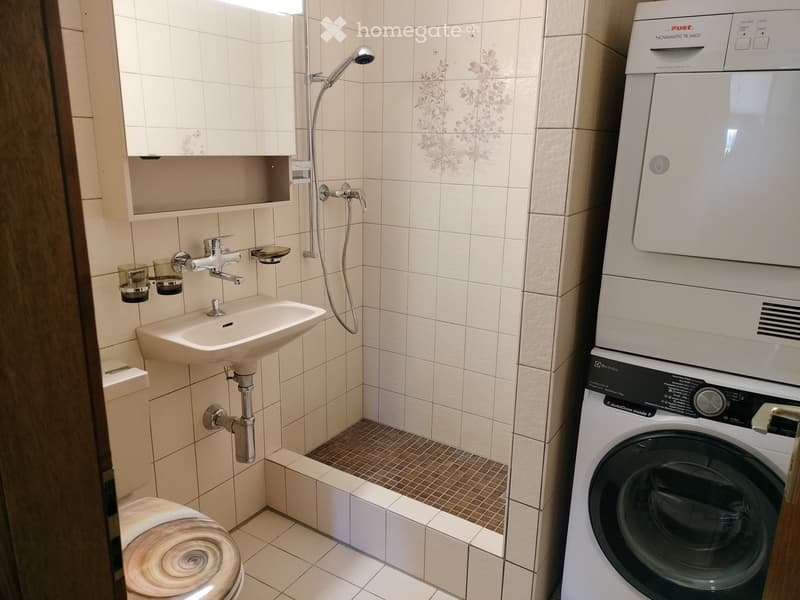 Bathroom. Modern bathroom with a sink, toilet, shower, and a washing machine and dishwasher unit.