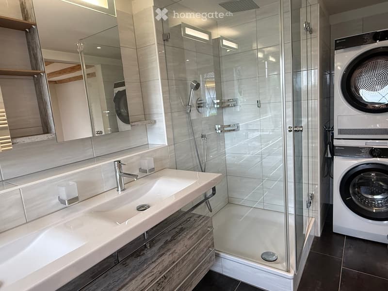 Modern bathroom with a large sink, mirror, glass-enclosed shower, and a washing machine in the corner.
