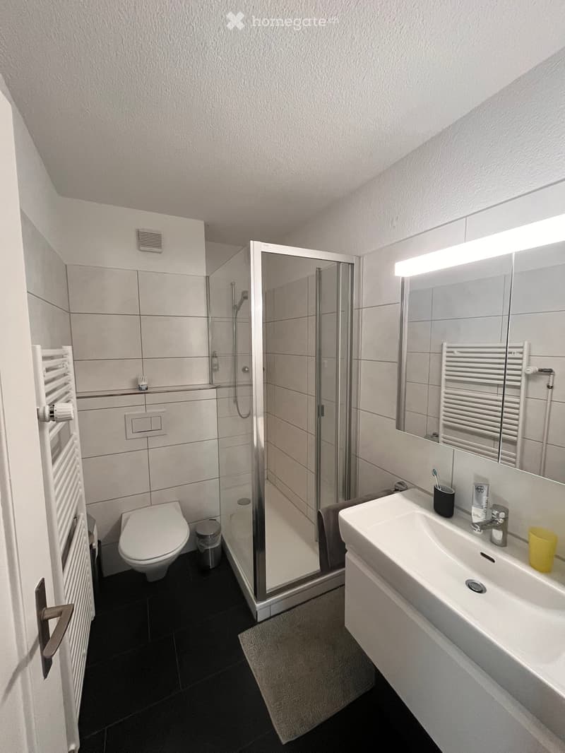 Modern bathroom with a toilet, sink, mirror, and walk-in shower. Includes a towel rack and small items on the sink counter.