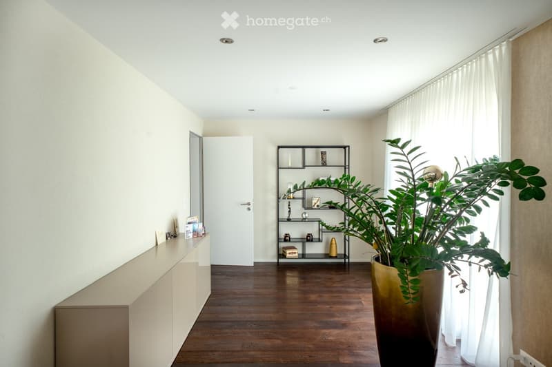 Empty hallway with white walls, wooden floor, white curtains, a large plant and a modern cabinet