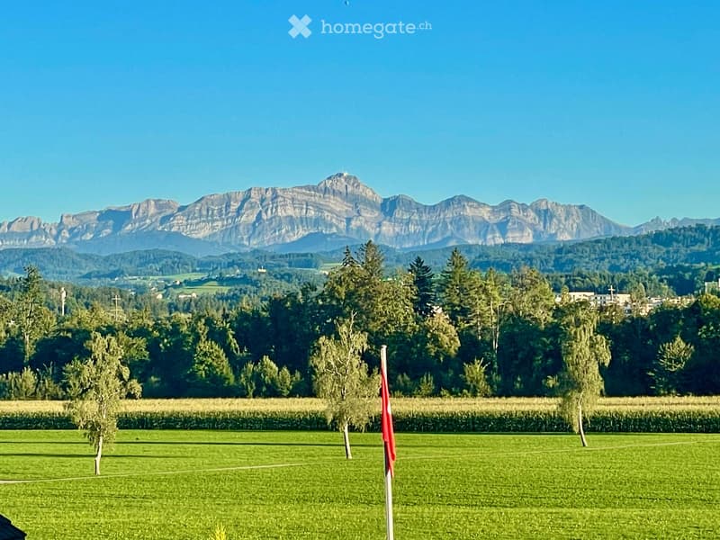 Green field, several trees, red flag, mountains in the background