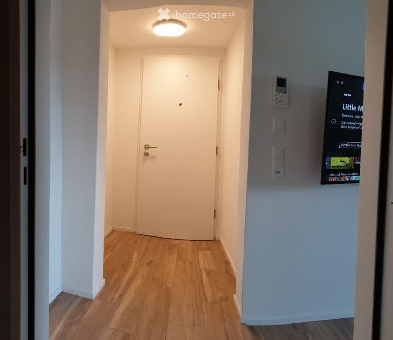 Ihre ruhige Wohlfühloase 1.5 Zi. Wohnung - an der Obermatt 8 in 6014 Luzern (10)