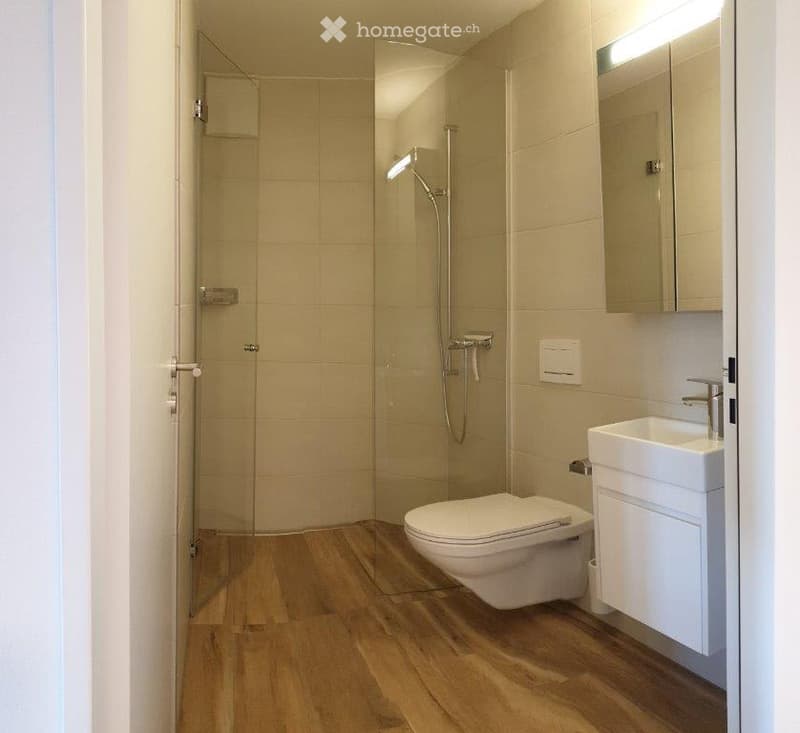 Ihre ruhige Wohlfühloase 1.5 Zi. Wohnung - an der Obermatt 8 in 6014 Luzern (8)