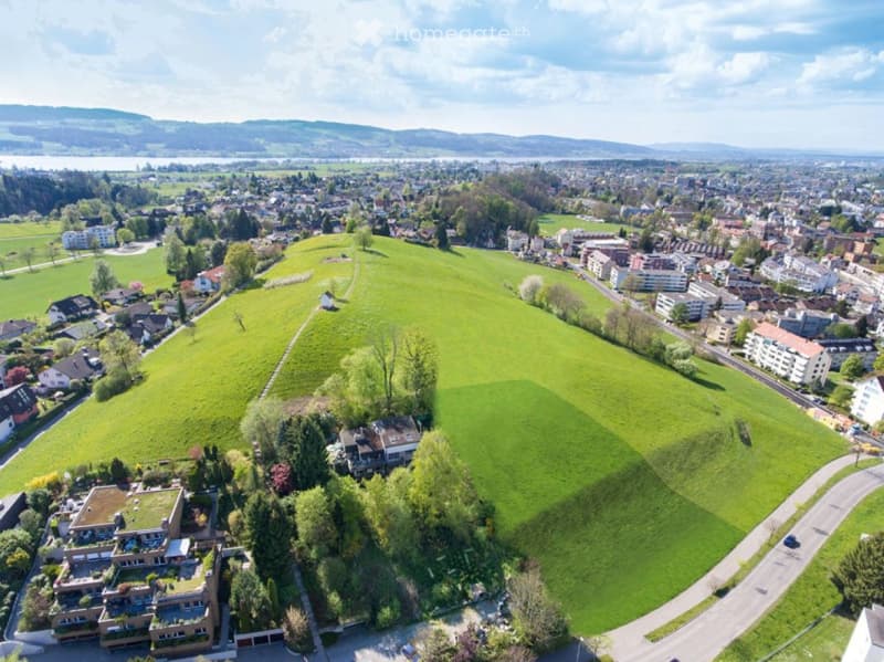 Aerial view of a suburban area with houses, green fields, and a distant lake and mountains.