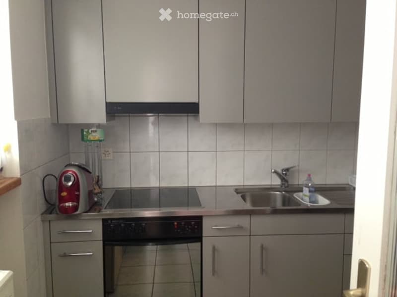 Modern kitchen with grey cabinets, stainless steel appliances, and tiled walls.