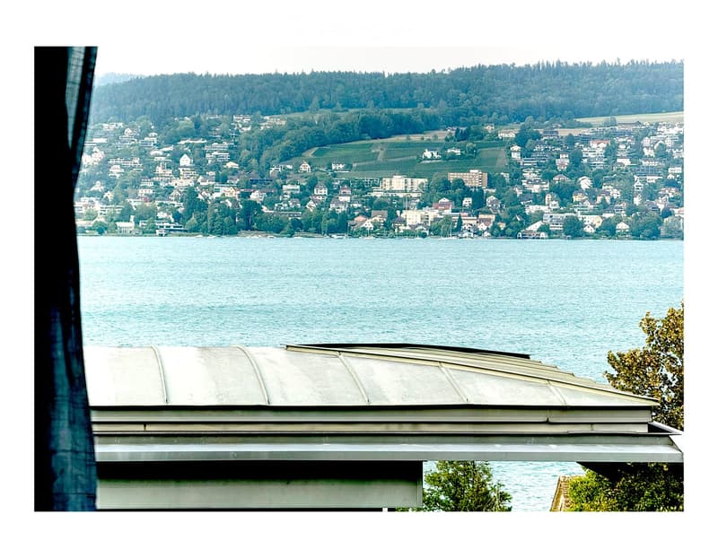View from a balcony or terrace overlooking a lake and a town with houses and trees in the background.