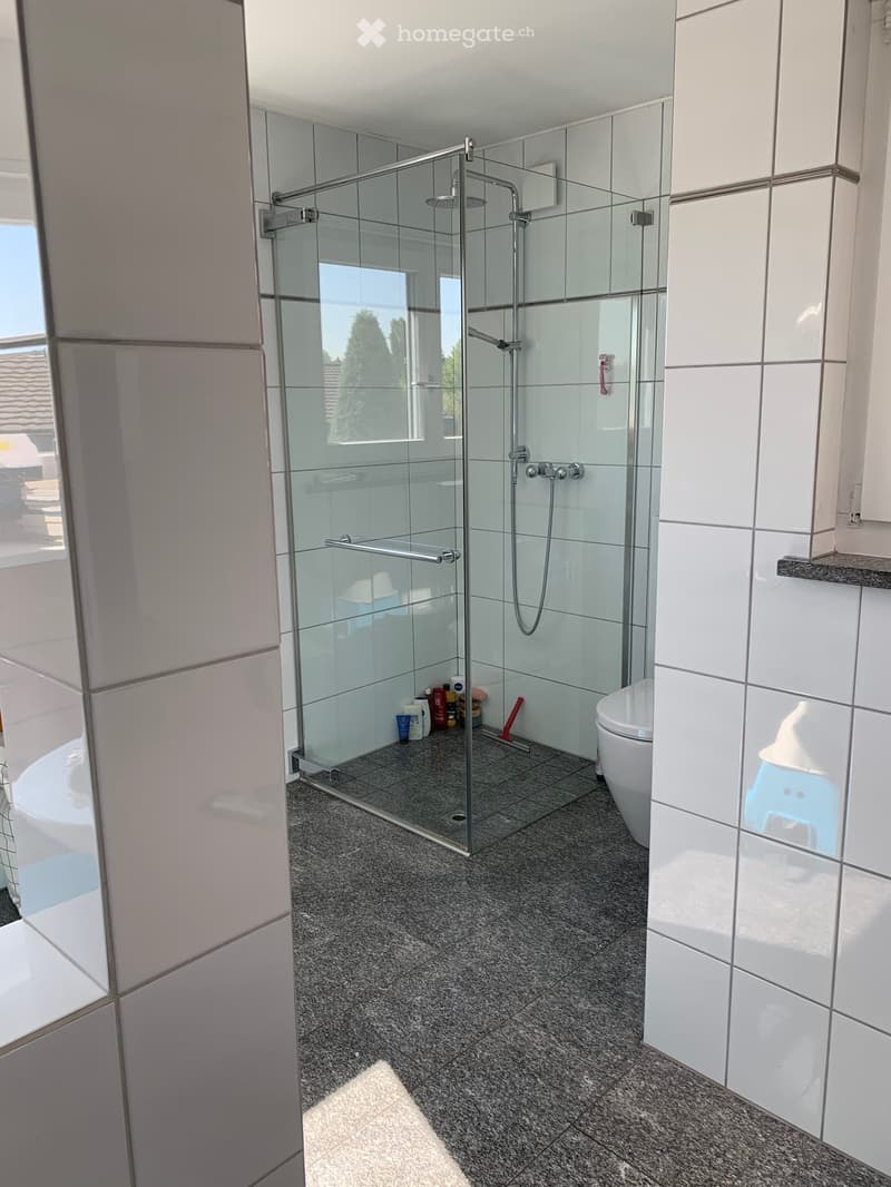 {"visible_features": [], "type": "Bathroom", "objects": ["shower", "toilet", "bottle", "bottle", "bottle", "bottle", "bottle", "bottle", "bottle", "bottle", "bottle", "bottle", "bottle", "bottle", "bottle", "bottle", "bottle", "bottle", "bottle", "bottle"