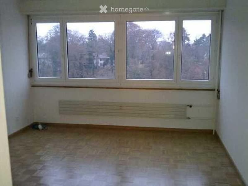 Empty room with wooden flooring, large windows, radiator, and a small object on the floor near the window.