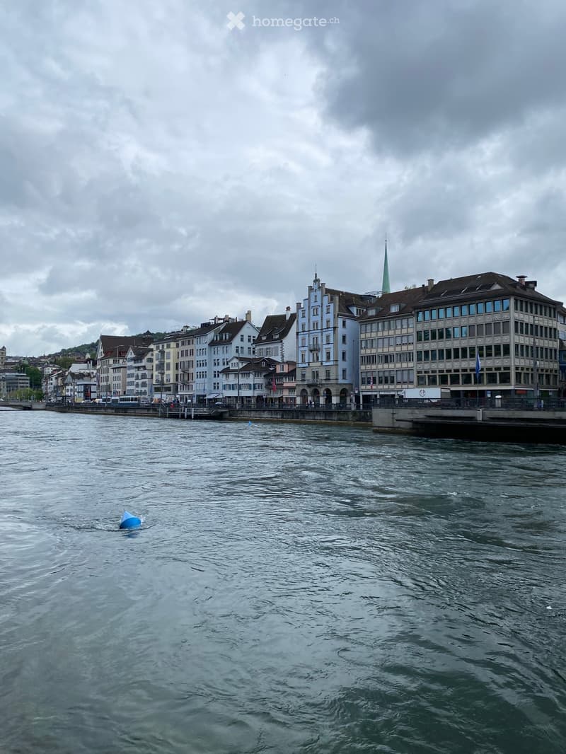 A view of a river with several buildings on the opposite bank, including a mix of residential and commercial structures with varied architectural styles and colors.