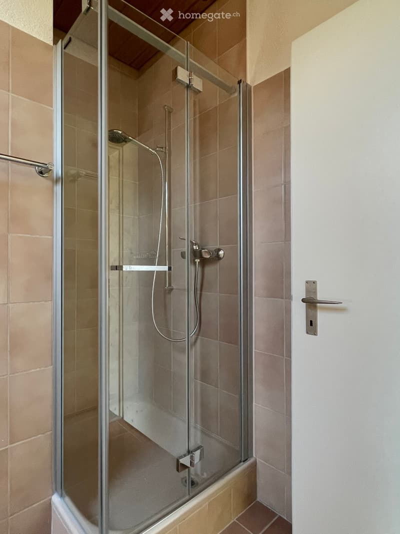 Modern bathroom with a glass-enclosed shower, tiled walls, and a sleek shower handle.