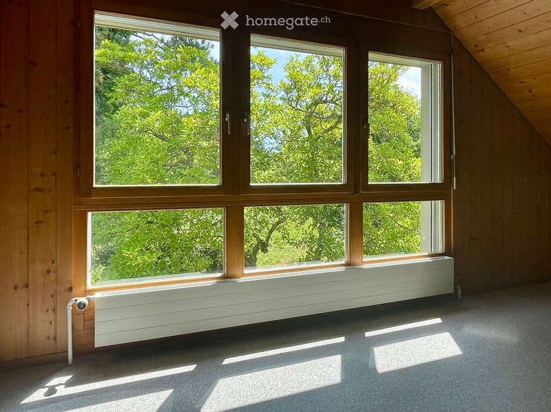 Bright, empty room with wooden walls, large windows, and a radiator. Sunlight streams in, casting shadows on the carpeted floor.