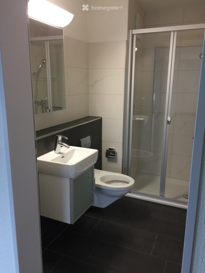 Modern bathroom with a white sink, toilet, mirror, and a glass-enclosed shower stall. Dark tiled floor and light-colored walls.