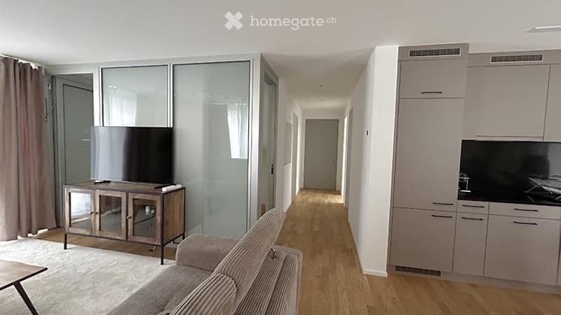 Modern, open-plan living and dining area with a sofa, coffee table, TV stand, and a sleek kitchen with cabinets and a counter.