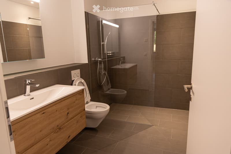 Modern bathroom with a wooden vanity, white sink, chrome faucet, toilet, large mirror, and a glass-enclosed shower stall.