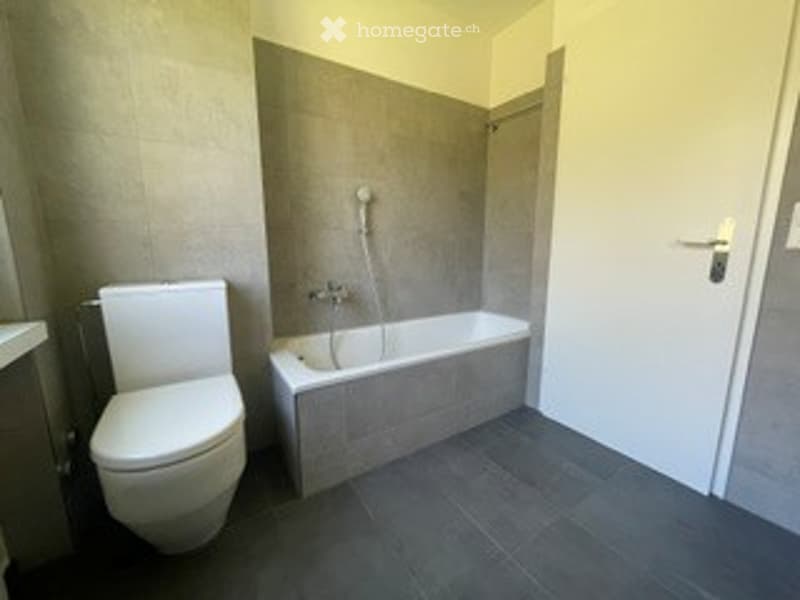 Modern bathroom with a white toilet, a rectangular bathtub, and a shower head attached to the wall. The floor is dark grey tiles, and the walls are a mix of grey and white tiles.