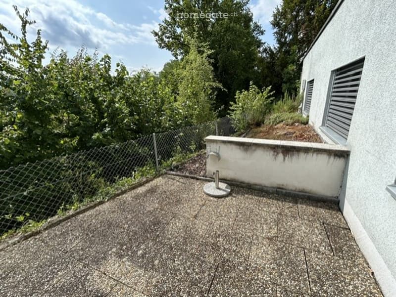 Roof terrace with concrete surface, low wall, metal fence, and surrounding greenery.