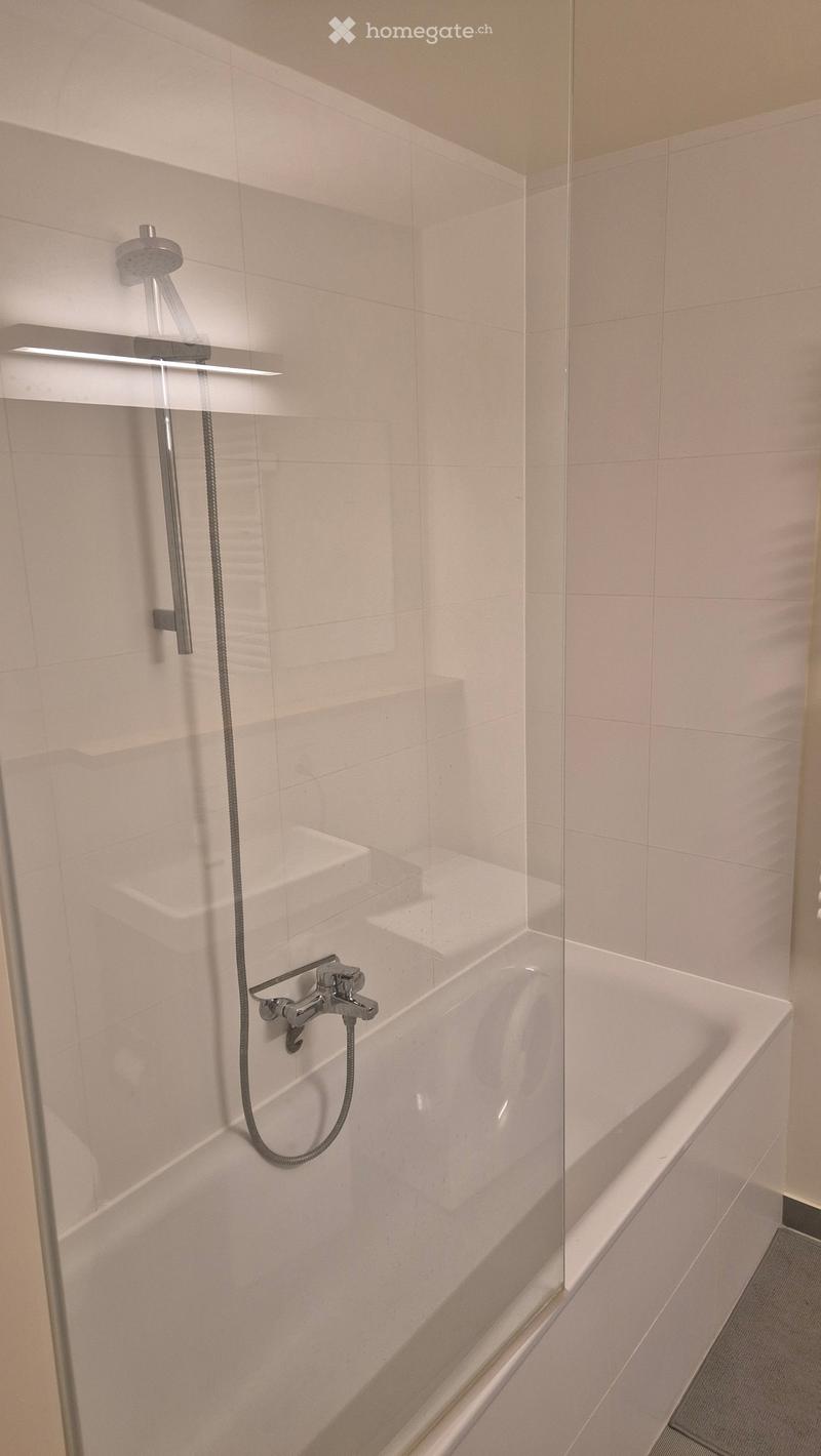 Modern bathroom with a bathtub, glass shower enclosure, and a handheld showerhead mounted on the wall.