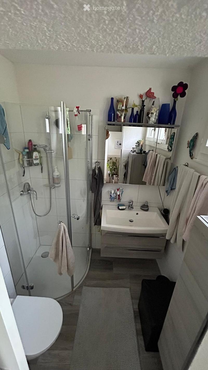 Modern bathroom with a toilet, sink, mirror, and glass-enclosed shower. Includes towels, vases, and decorative bottles on the mirror shelf.