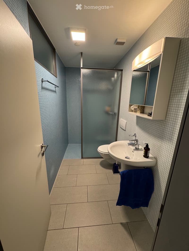 Modern bathroom with a white sink, toilet, glass shower enclosure, and built-in mirrored cabinet with shelves. Blue towel on the floor.