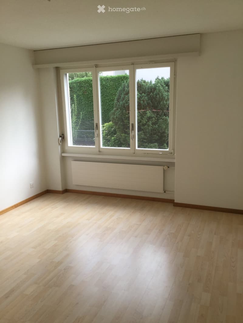 Empty room with light wooden flooring, white walls, large windows with white frames, and a radiator below the windows.